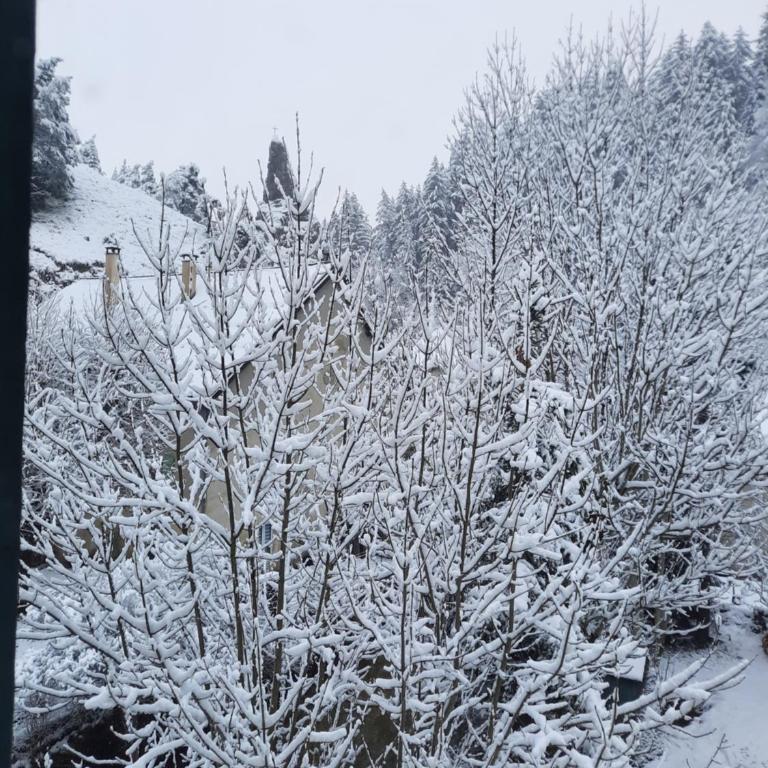 Gîte Col Vert - Ski - Domaine - Appartement 1 Chambre - 19