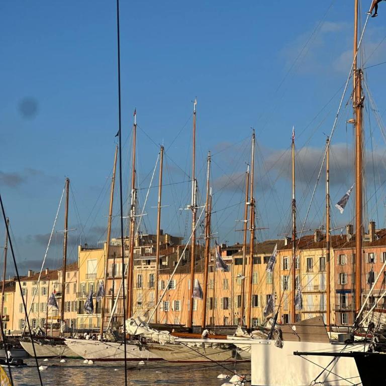 Le Paon l Old Town & AC l Shellter Rentals - Apartamento - 31