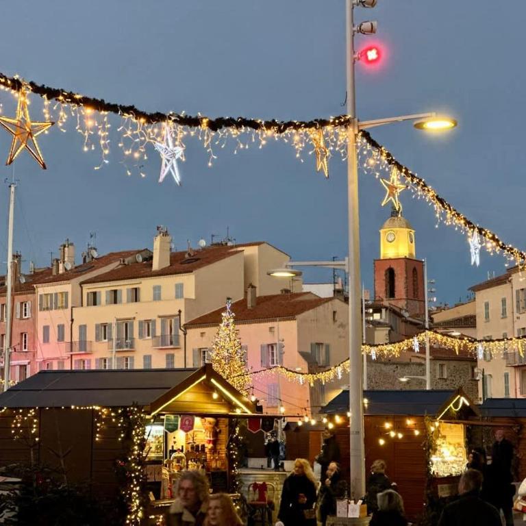 Le Paon l Old Town & AC l Shellter Rentals - Apartamento - 38