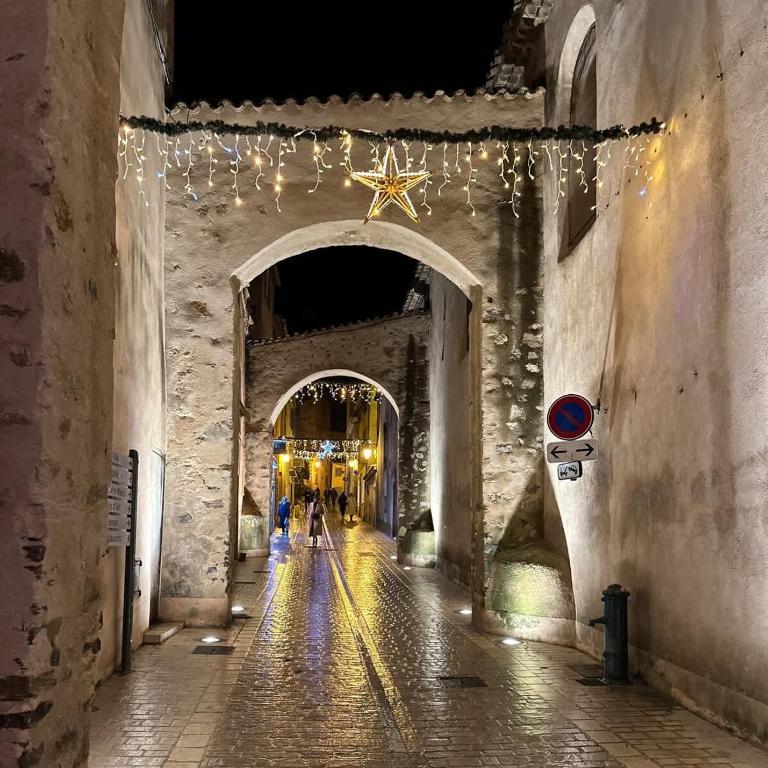 Le Paon l Old Town & AC l Shellter Rentals - Apartamento - 39