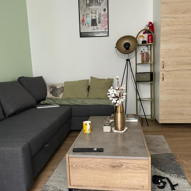 Cozy Appartment in Voltaire - Appartement 1 Chambre - 1
