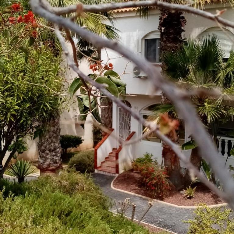 casa gran alacant carabassi - Three-Bedroom House - 4