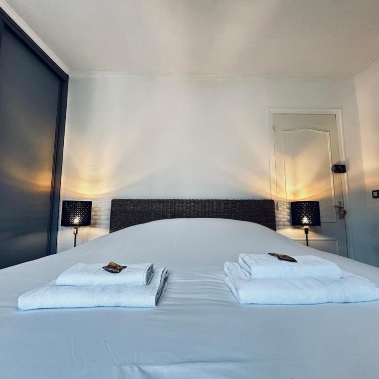 Une bulle en champagne T3 hyper centre avec balcon - Appartement 2 Chambres - 12