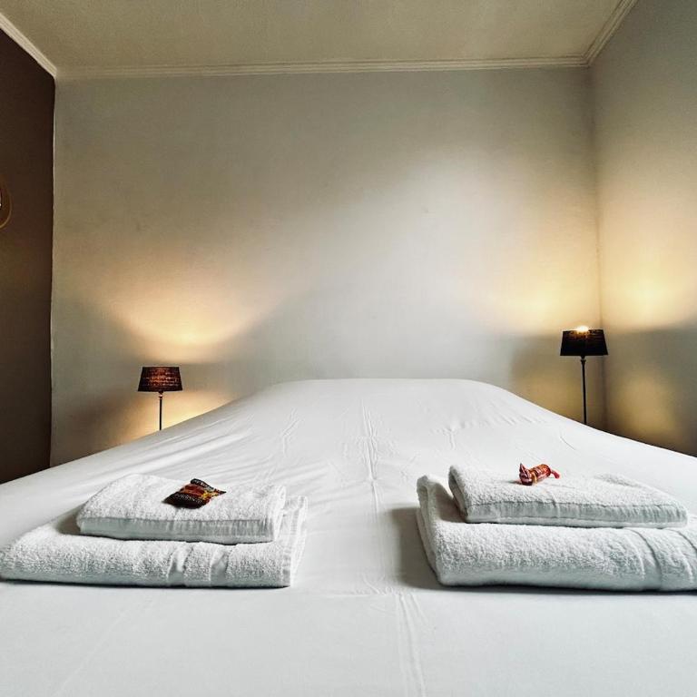 Une bulle en champagne T3 hyper centre avec balcon - Appartement 2 Chambres - 23