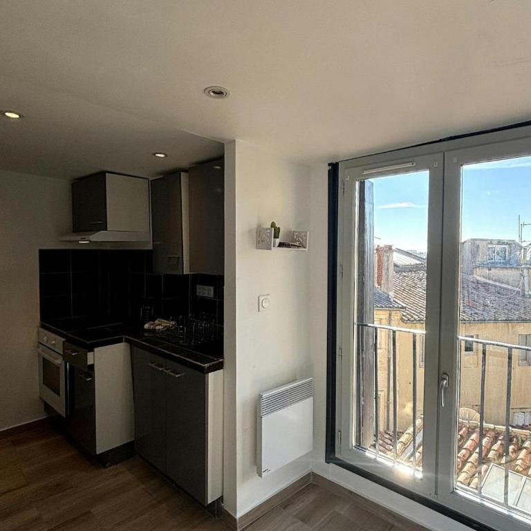 F2 4 pers - Centre Montpellier - Vue Toits & Montagnes - Appartement 1 Chambre - 6