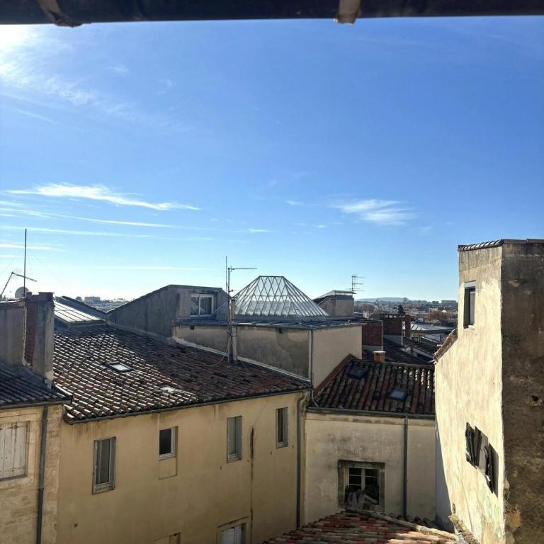 F2 4 pers - Centre Montpellier - Vue Toits & Montagnes - Appartement 1 Chambre - 17
