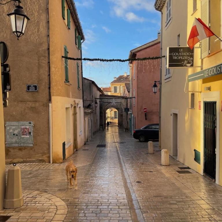 Studio SEVO l Central l Shellter Rentals - Apartment - 10