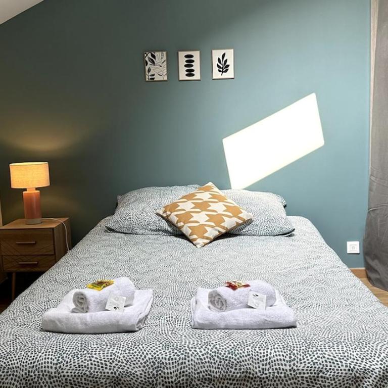 Belin Cool terrasse et parking proche centre ville - Appartement 1 Chambre - 19