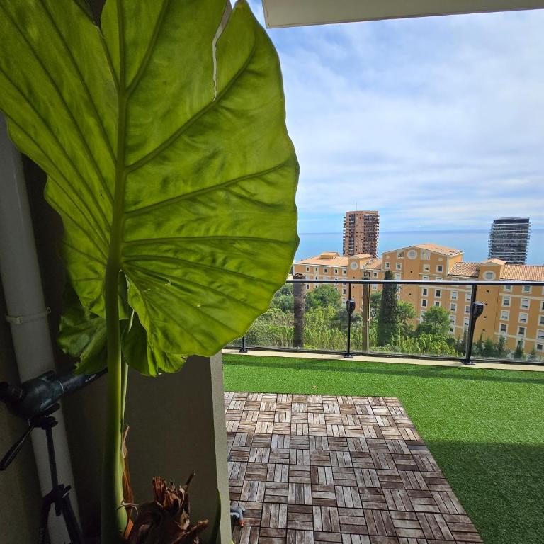 Monaco view, pool, garage, 100 m2 terrace - Appartamento con 2 Camere da Letto - 67