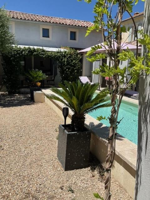 Mas provençal au coeur de L'Isle-sur-la-Sorgue - Villa - 17