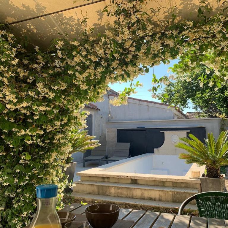 Mas provençal au coeur de L'Isle-sur-la-Sorgue - Villa - 21