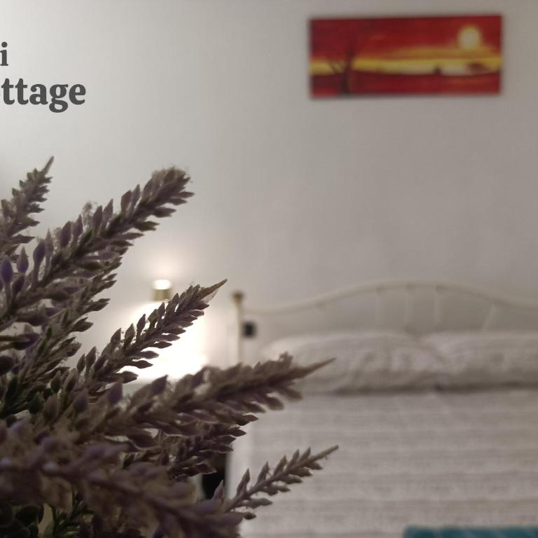 Bari Cottage - Camera Matrimoniale - 1