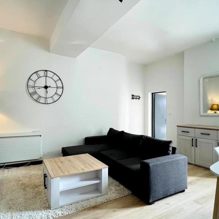 Charmant T2 au coeur d'Angers - Appartement 1 Chambre - 6