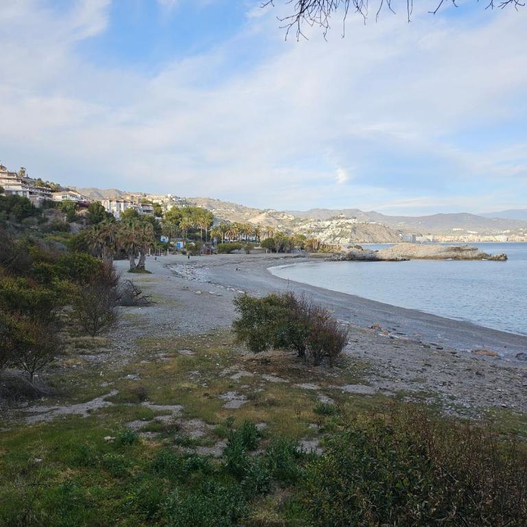 Luz de la Marina - Apartamento de 3 dormitorios - 69