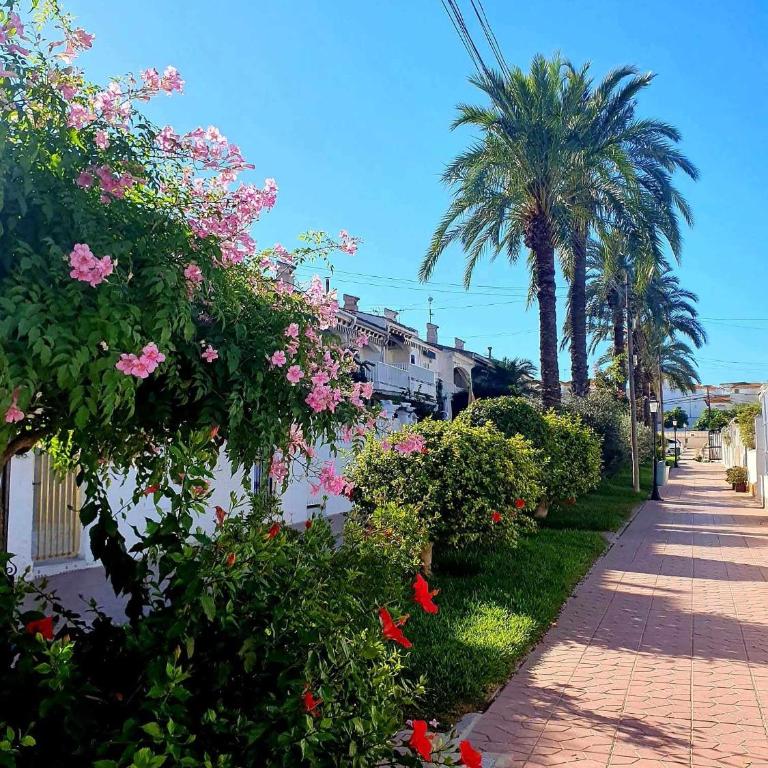 Apartment Cabrio - Gran Alacant - Two-Bedroom Apartment - 10