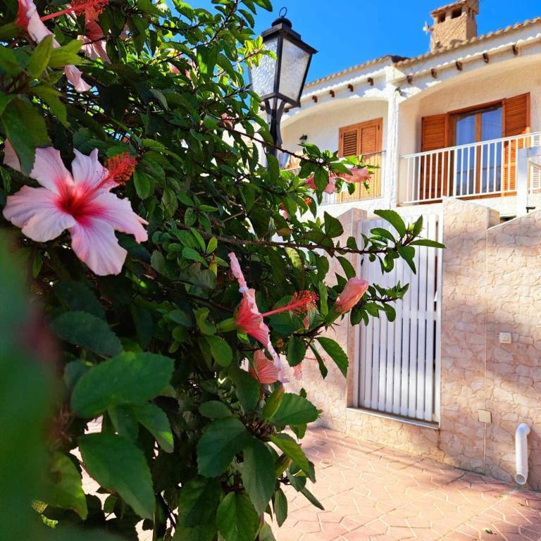Apartment Cabrio - Gran Alacant - Two-Bedroom Apartment - 1