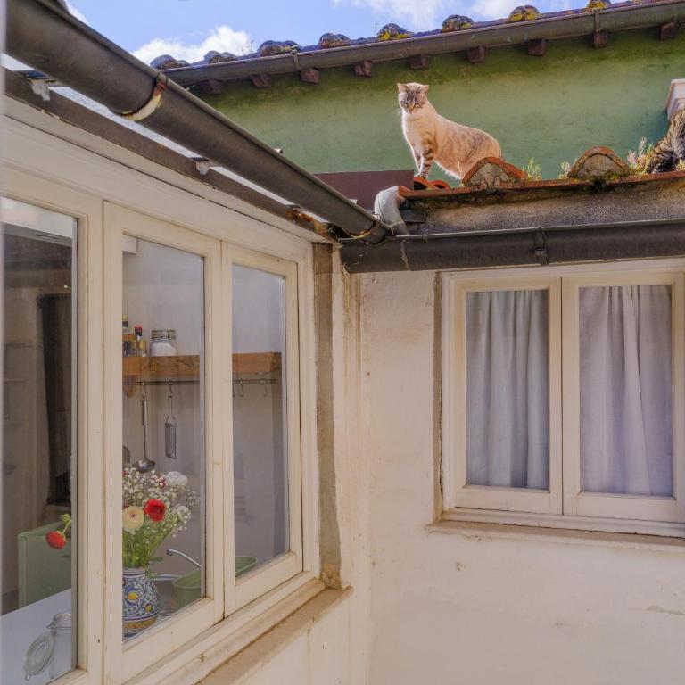 Nugolo atelier - Light & charm in Oltrarno - Appartamento con 2 Camere da Letto - 10