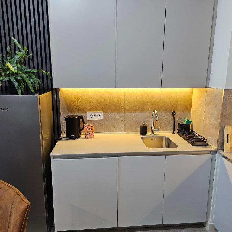 ARTA LUX - Galerija Beograd na vodi - Belgrade Waterfront - Deluks Apartman - 19