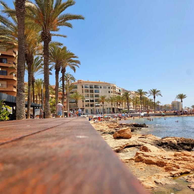 Modern and Cozy Apartment Just Steps from Los Locos Beach - Apartment - 34