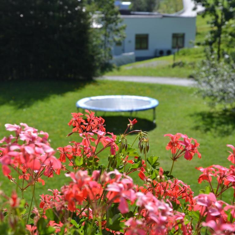 Holiday-Appartements - Apartment mit 2 Schlafzimmern (5 Erwachsene) - 5