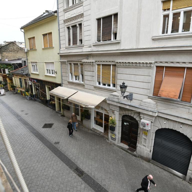 Apartments Downtown Novi Sad - Deluks Apartman - 2