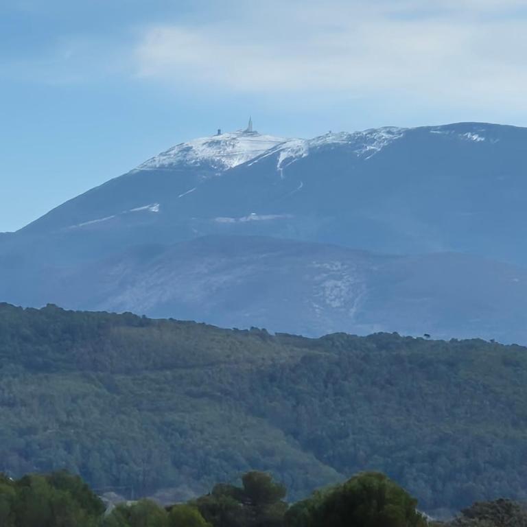 Appartement 80m2 entre vignes et Mont Ventoux - Appartement 2 Chambres - 3