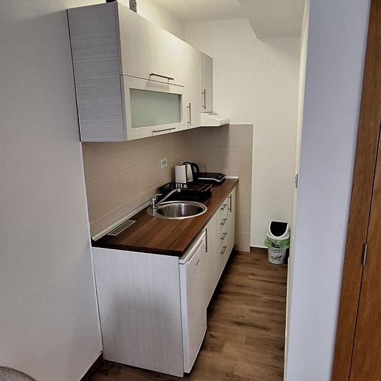 Soko Bajka 1 - Apartman sa 1 Spavaćom Sobom - 7