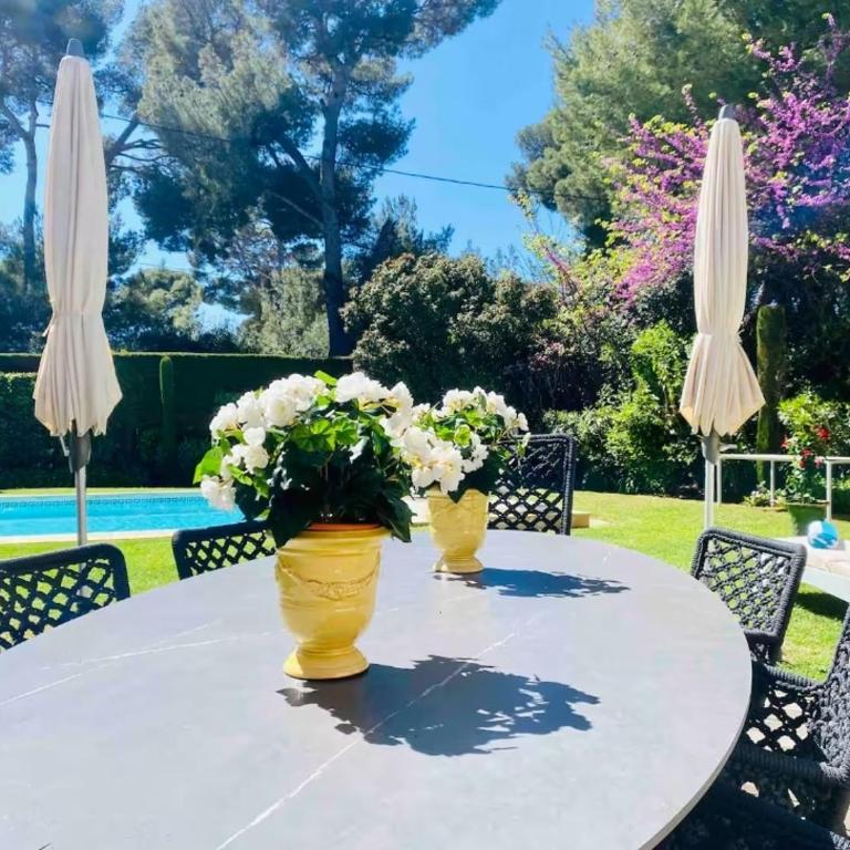 Villa Les Palmiers au Cap d Antibes - Villa 3 Chambres - 38
