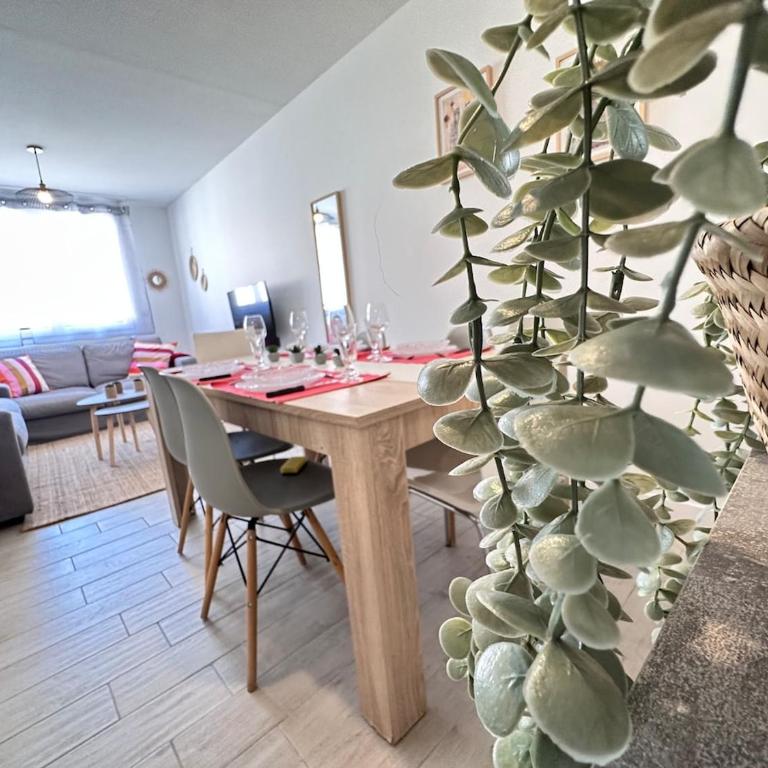Les 3 Piliers grand T2 confortable avec parking - Appartamento con 1 Camera da Letto - 18