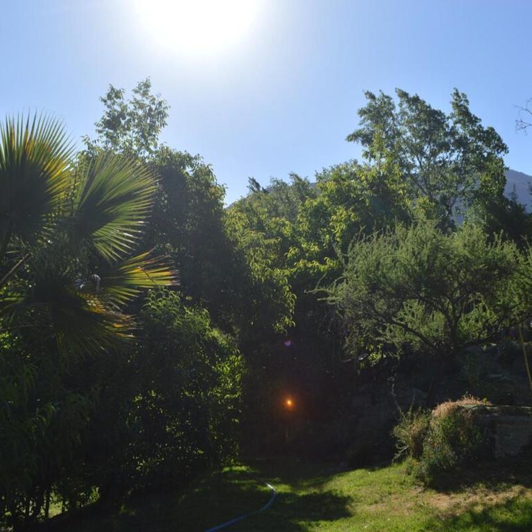 Punta Horizonte Cabin - Three-Bedroom House - 41