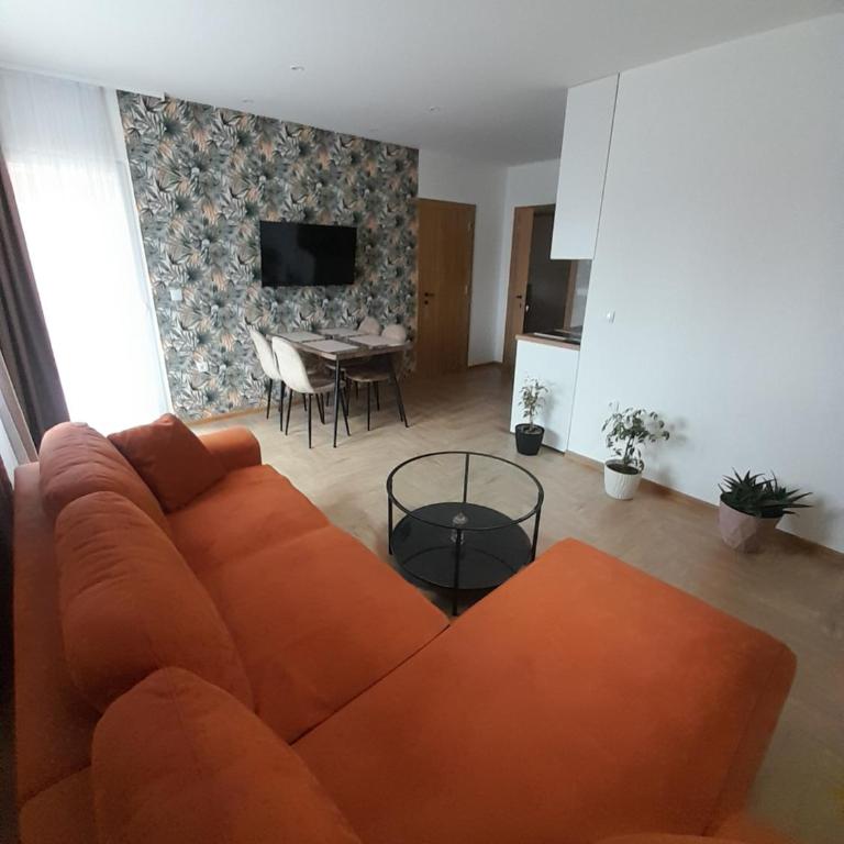 Apartmani Radmanovic - Deluxe One-Bedroom Apartment - 4