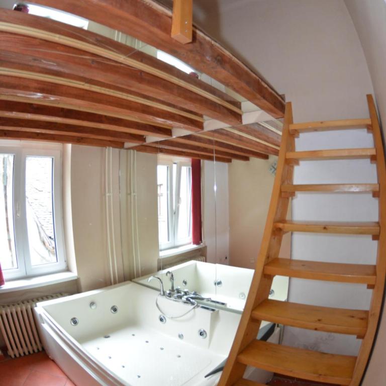 Apartments Downtown Novi Sad - Dvokrevetna Soba sa Bračnim Krevetom i Spa Kadom - 1
