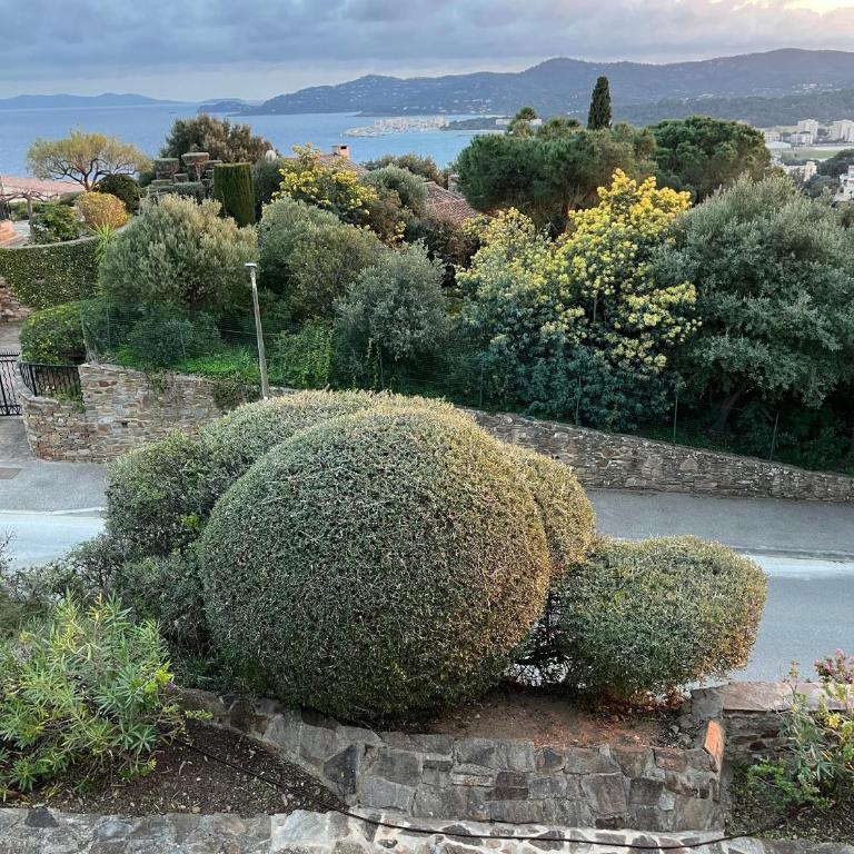 Villa Telma - Appartamento con 2 Camere da Letto e Terrazza - 15