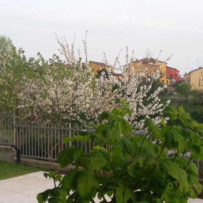 Residenza Leon - Casa con 2 Camere da Letto - 13