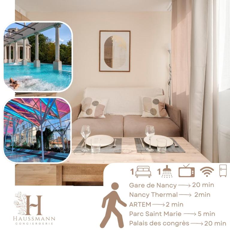 Studio Nancy Thermal ARTEM - Appartement 1 Chambre - 1