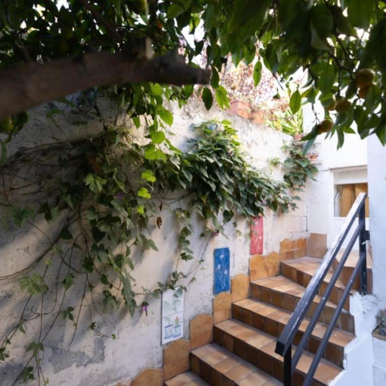 Charmante Maison de village Clim et Wifi - Appartement 1 Chambre - 15