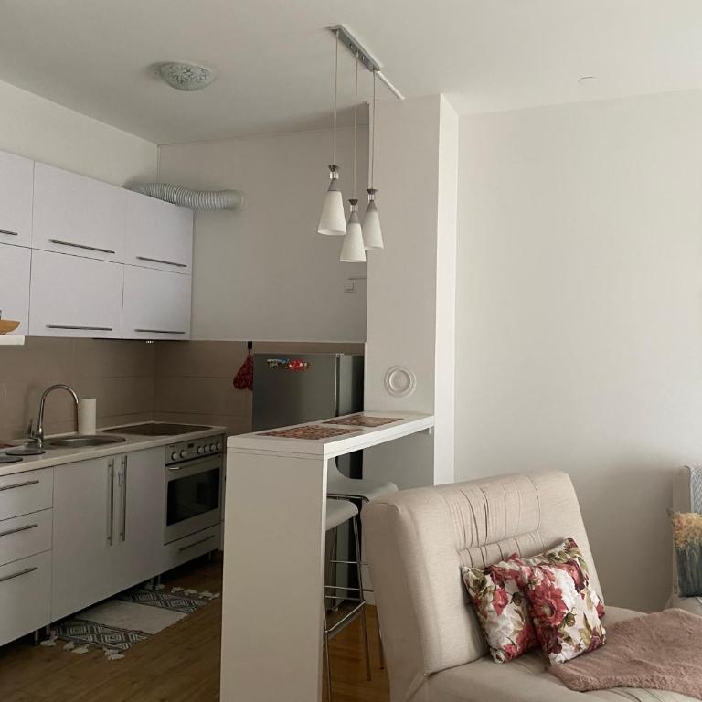 Alexandra apartment - Apartman sa 1 Spavaćom Sobom - 9