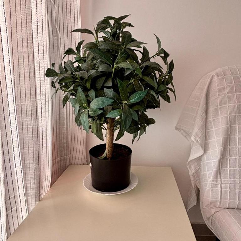 Apartamento La Colina - Apartamento de 1 dormitorio - 10