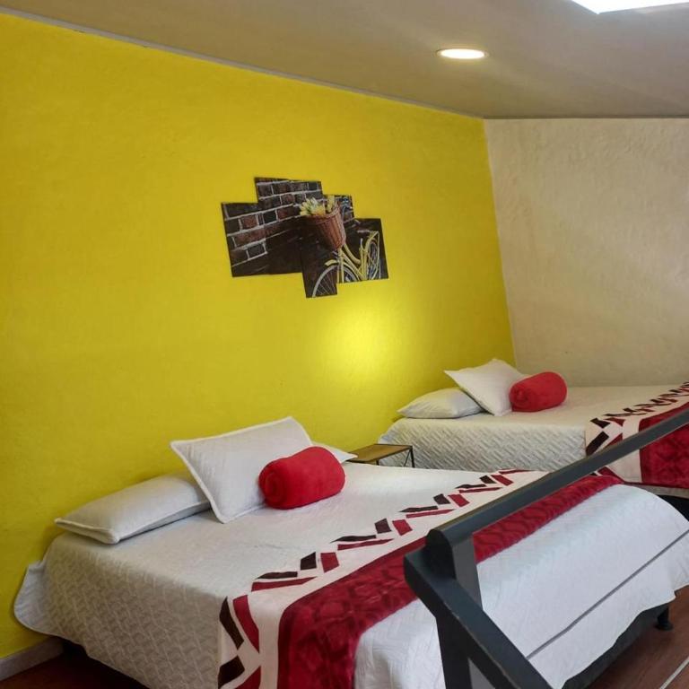 apartaestudios las astromelias salento - Apartamento de 1 dormitorio - 19