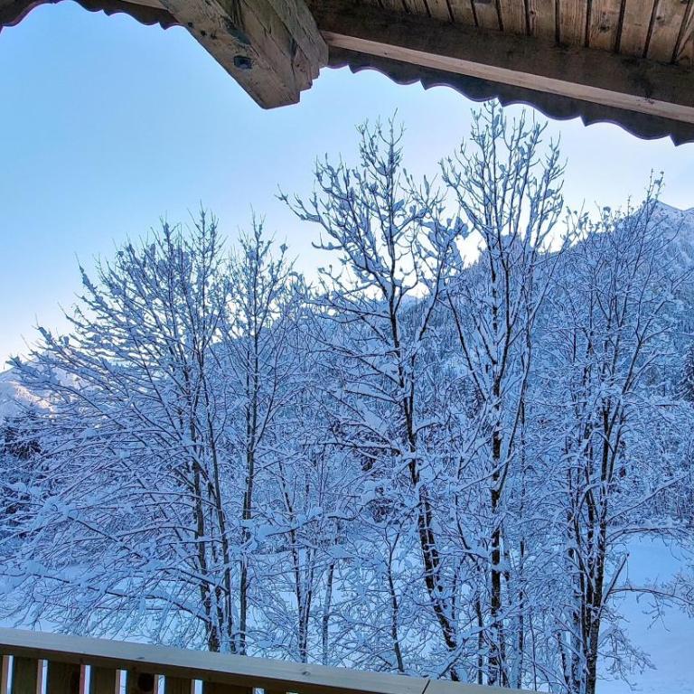 12er Loft - Two-Bedroom Apartment - 32