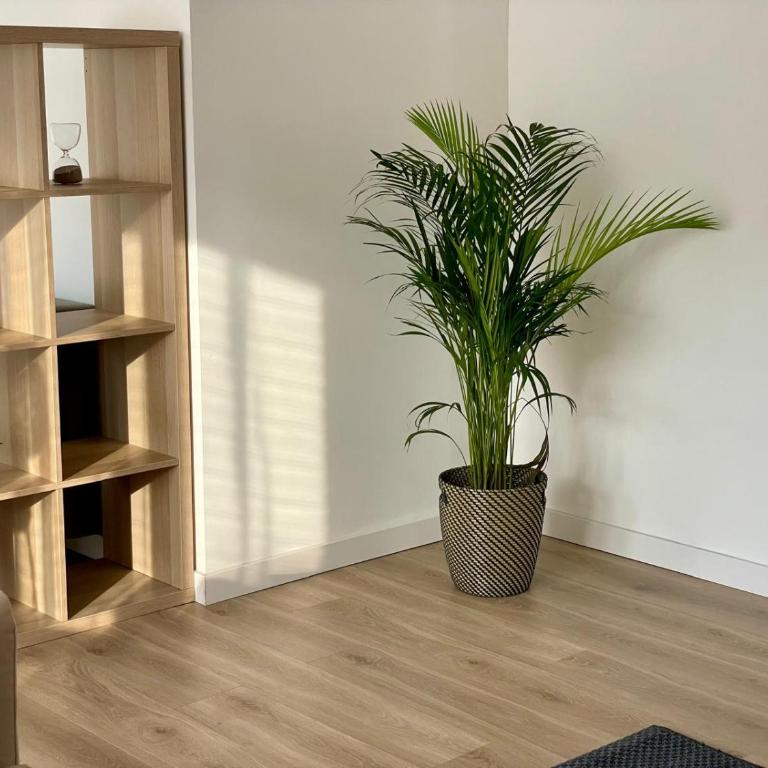 T3 centre Toulouse - Two-Bedroom Apartment - 4
