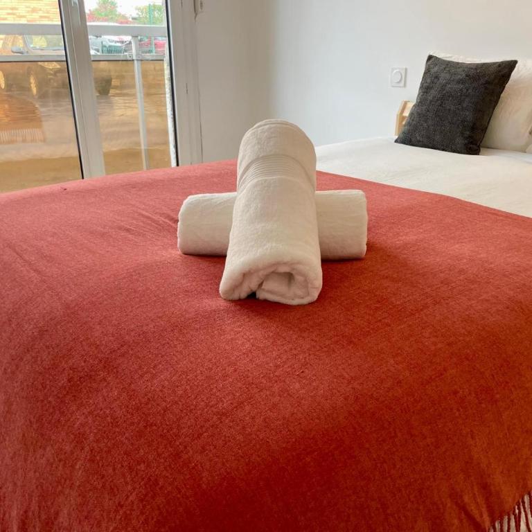 T3 centre Toulouse - Two-Bedroom Apartment - 11
