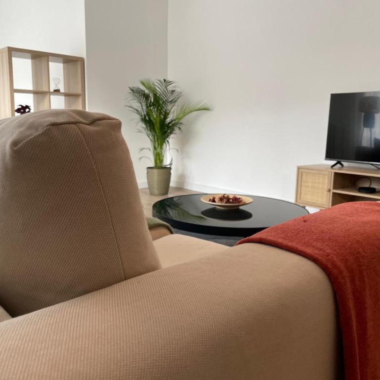 T3 centre Toulouse - Two-Bedroom Apartment - 21