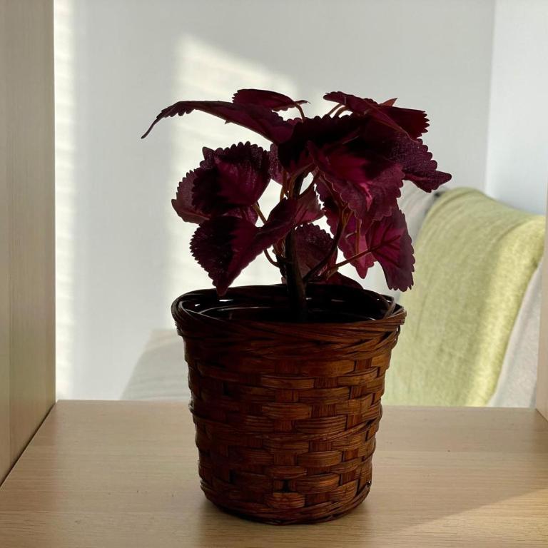T3 centre Toulouse - Two-Bedroom Apartment - 22