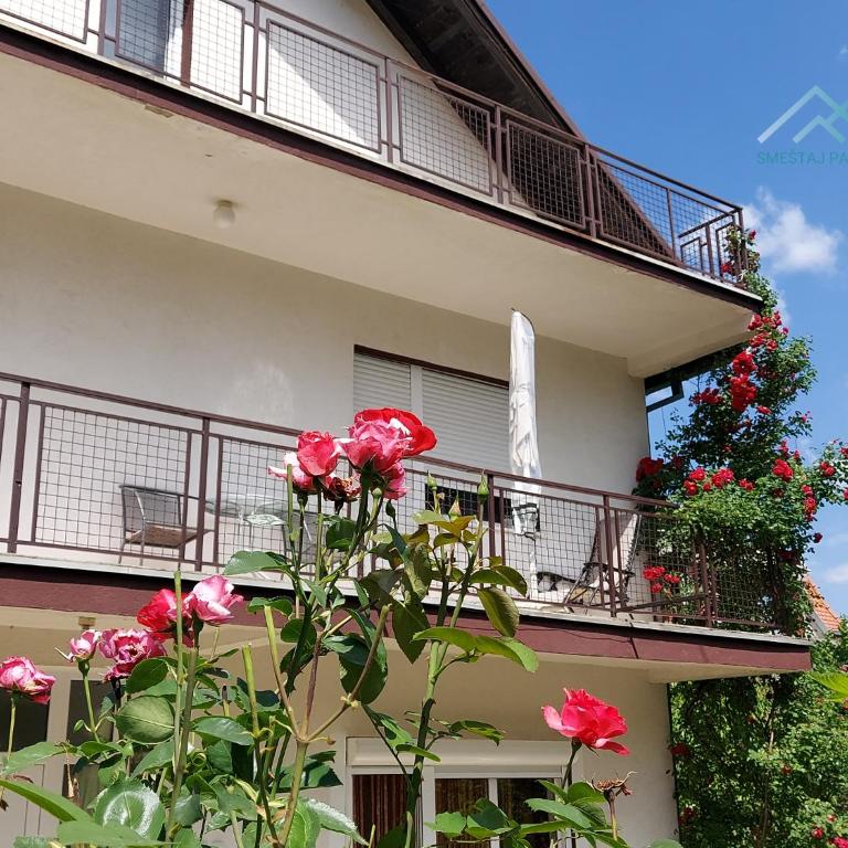 Sokobanja Smeštaj Pavlović & privatan parking - Apartment with Terrace - 14