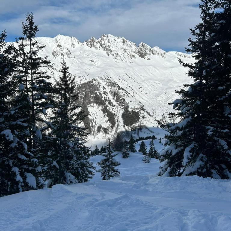 Chalet L Etend d Art, Explore Oisans - Maison 3 Chambres - 31