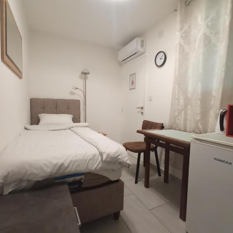 Apartments and Rooms Radivojević Niš - Jednokrevetna Soba sa Kupatilom - 4