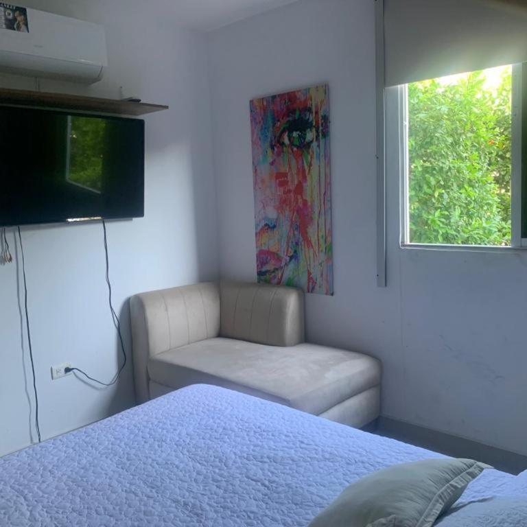 Tu Apartamento ideal - Apartamento de 3 dormitorios - 6