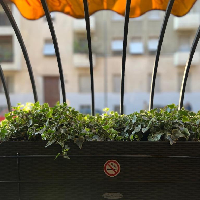 Mercadante Suite Central City - Appartamento con 1 Camera da Letto - 30