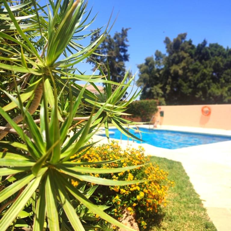 Ático Sea Views - 2 bedrooms - Two-Bedroom Apartment - 11